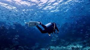 Perjalanan menyelam di Laut Merah bersama instruktur.